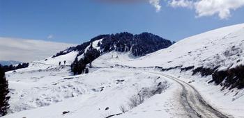 Yax3mfwhm3nvxczei7xiu3b9p9c5 1549375549 shutterstock 1035545965