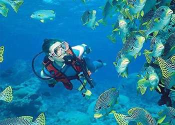 Scuba Diving in Gujarat Image