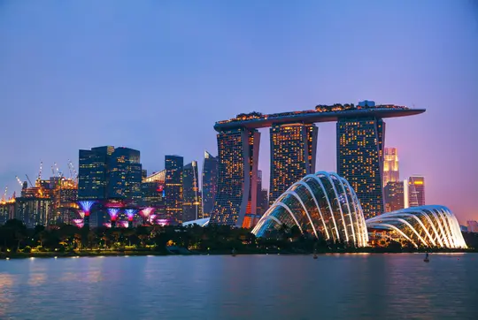 4G, 5G SIM Card Singapore Image