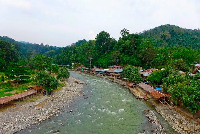 Bukit Lawang
