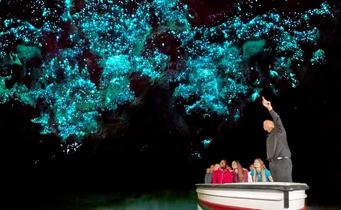 Waitomo Glowworm Caves