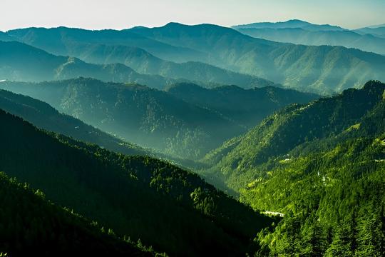 Shimla to Kufri Day Trip Image