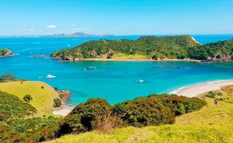 Bay Of Islands