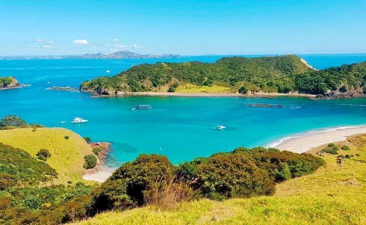 Bay Of Islands