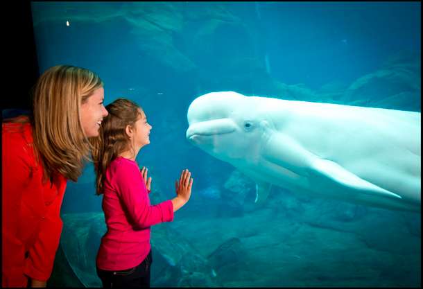 Yfa2jw17ok0te3tuqj1yacvzjz4u d80 4572