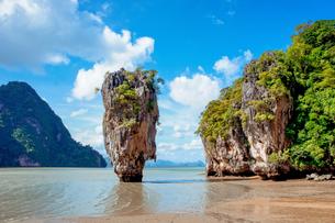 Yfsrd4rgcjj3y4lt1ncqgfnwmywu 1595771105 shutterstock 1182639427