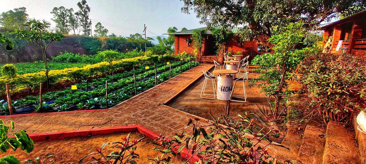 Situated amidst trees and plants