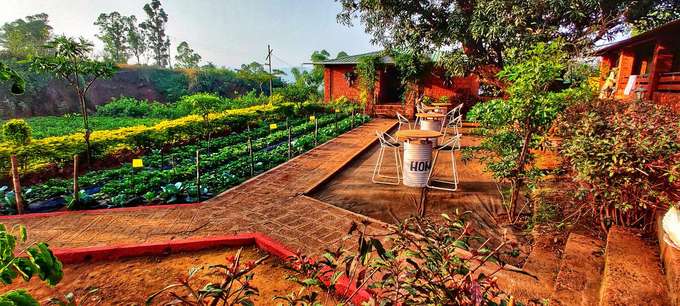 Situated amidst trees and plants