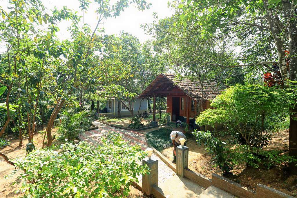 Private Nature Cottages Into The Woods, Coorg Image