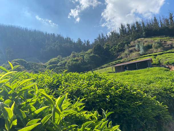 Yhgm452fx4xpequz76v7h0a6xo6o img 20241015 wa0088