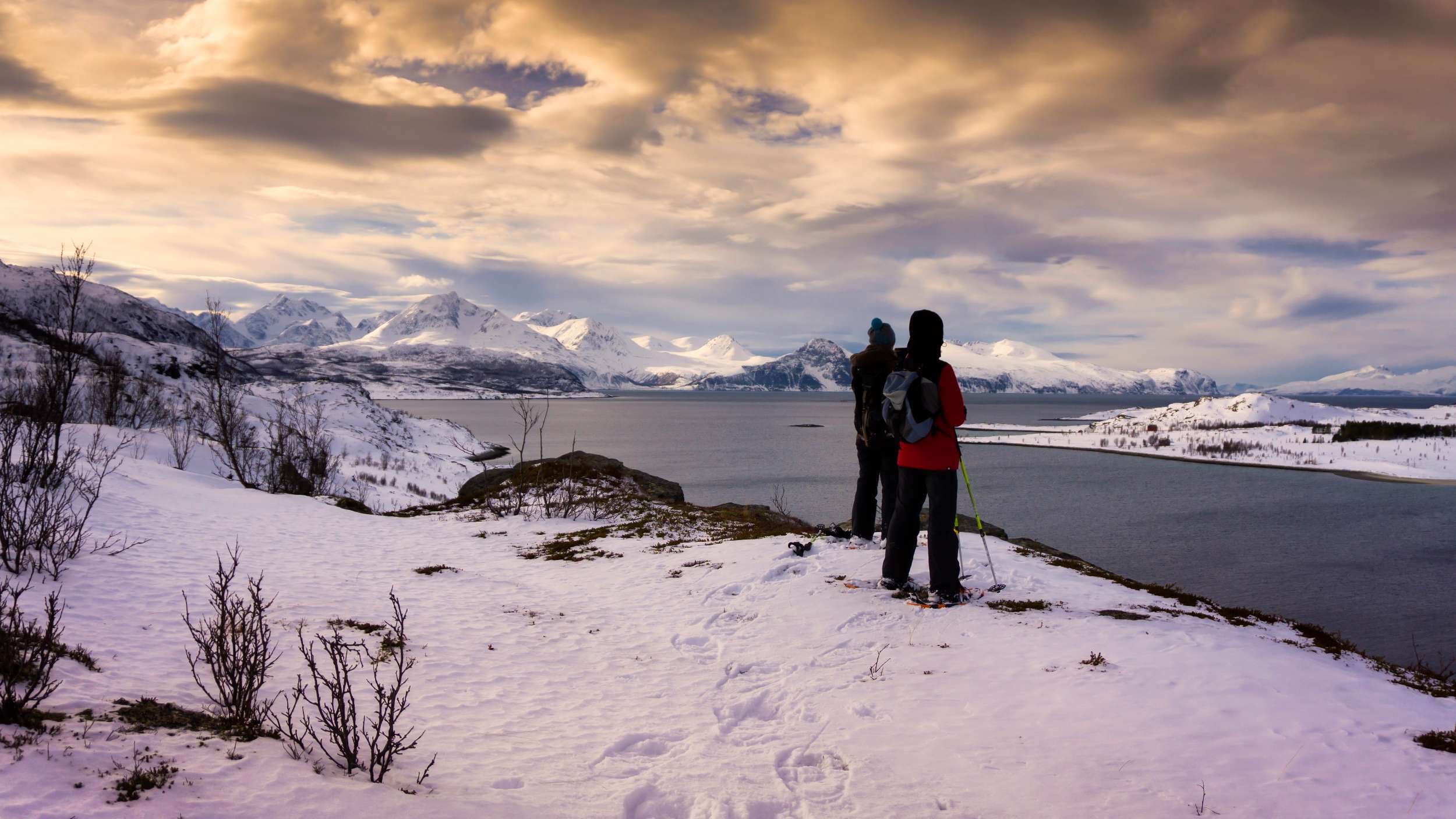 Arctic Nature Tour from Tromso by Minibus
