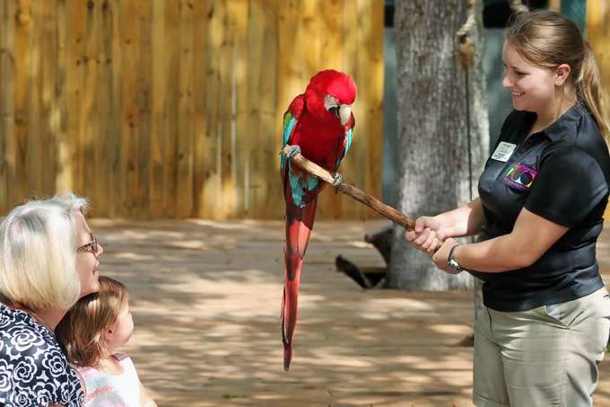 Learn all about the different birds & animals at the zoo