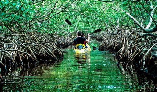 Andaman Sightseeing Tour Of 10 Days Image