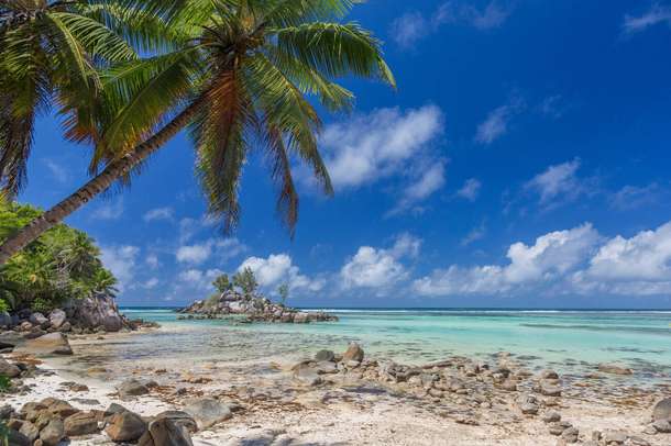 Yj629l6bndzwrmty2djaiutdl33z anse%20royale%20beach 1