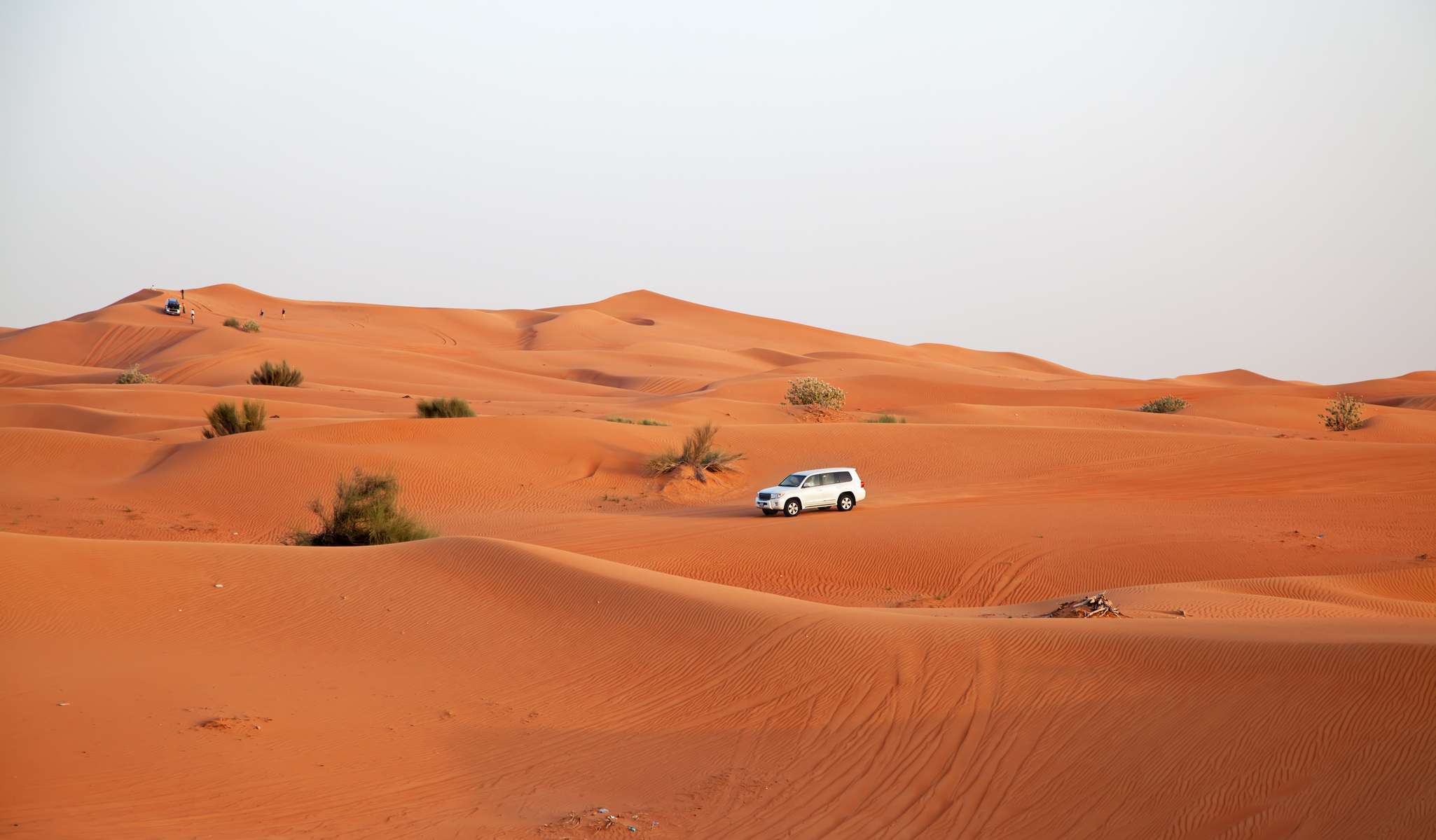 Red Dune Desert Safari in Dubai Image
