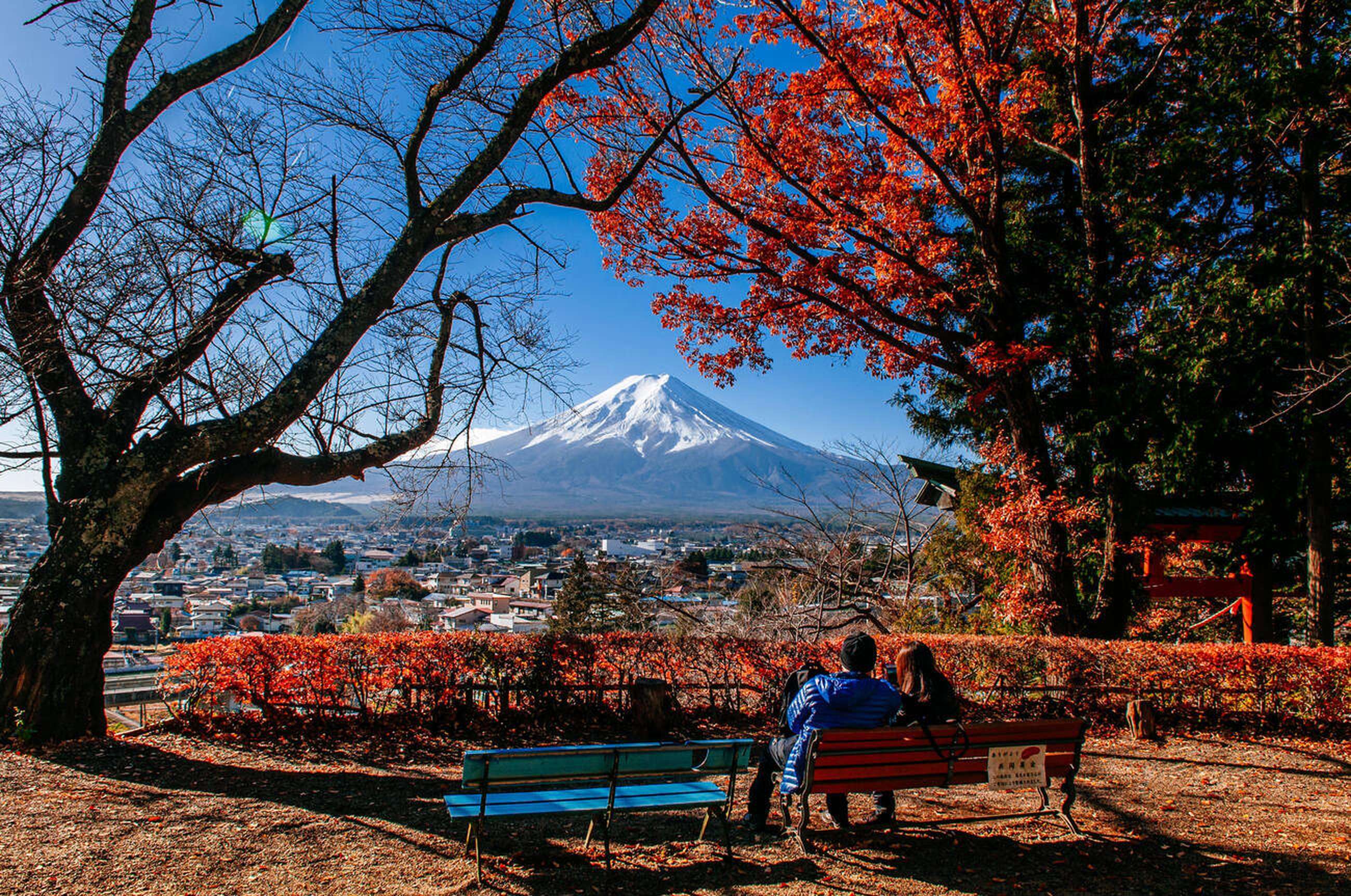 Couple overlooking Mount Fuji