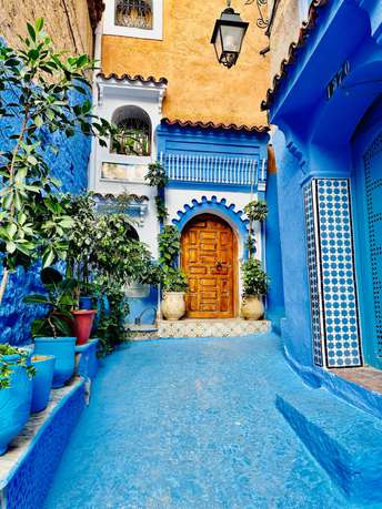 Yjrpw4s7glzaiux7za831enfy5sd shutterstock 2400746717