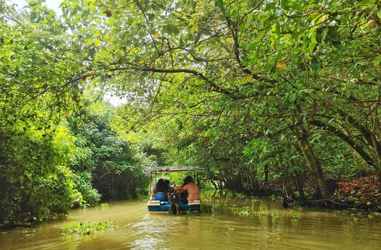 Sunrise Boating at Poovar Island Image