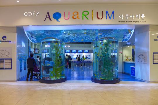 Enjoy a fun day out at the Coex Aquarium with your family