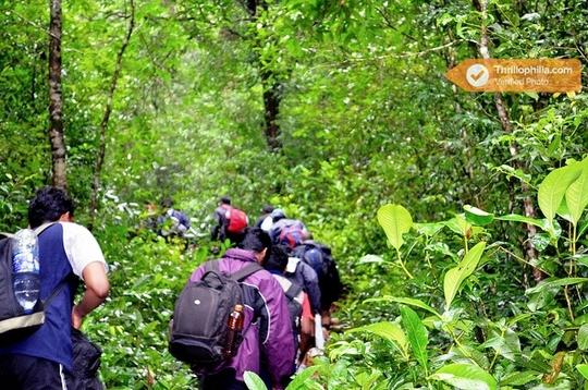 Dandeli Jungle Safari Image