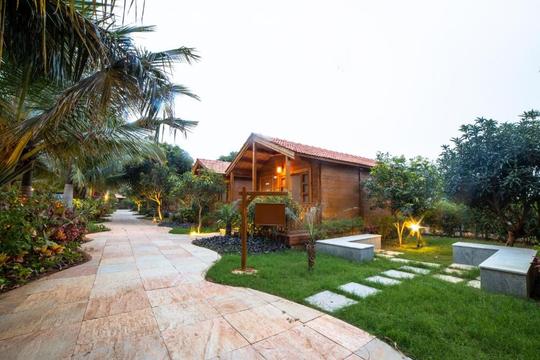 Brown Town Resort Image