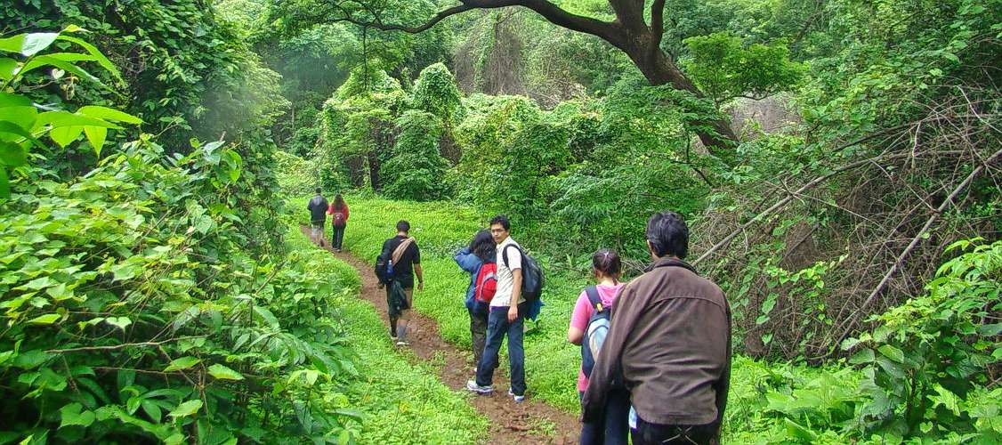Trekking And Snorkeling At Elephant Beach Image