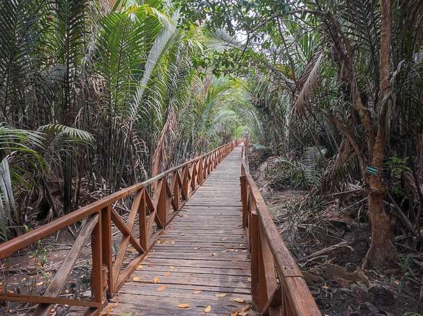 Yoe1z2e8nhutar541ekkd4rpo1dq dhaninallah%20mangrove%20nature%20walkway 1