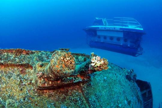 35 Meter Submarine Dive in the Indian Ocean Image