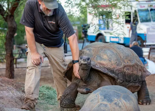 Phoenix Zoo Tickets, USA Image