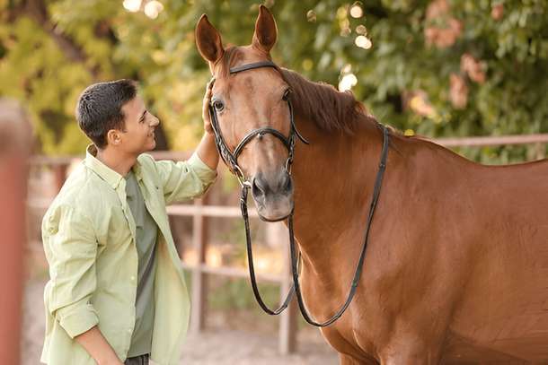 Ypq6ymttj9y9978fuc6v1trd3mho 7xm681a05a83a5e6