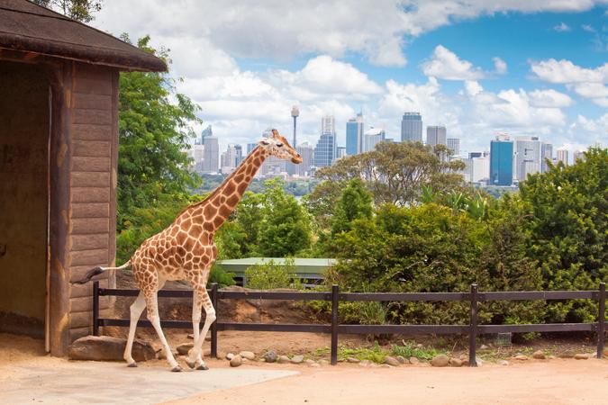 Australia Zoo