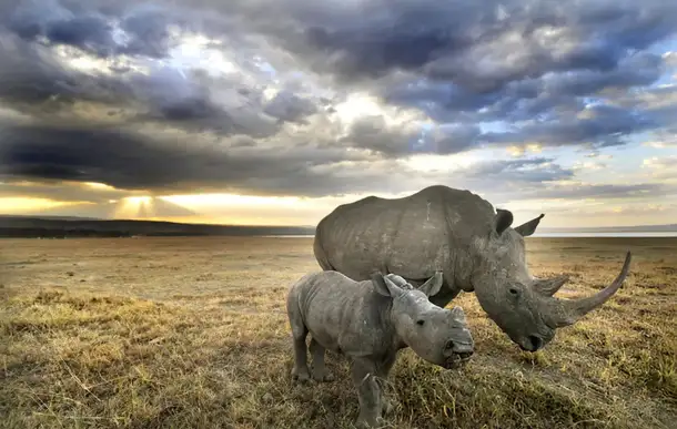 Yqhvrv69f76n7f7t9teti728jtal g9eu893eylee13kvtzn5sokxvu58 dl.beatsnoop.com 3000 hoizycxj6a