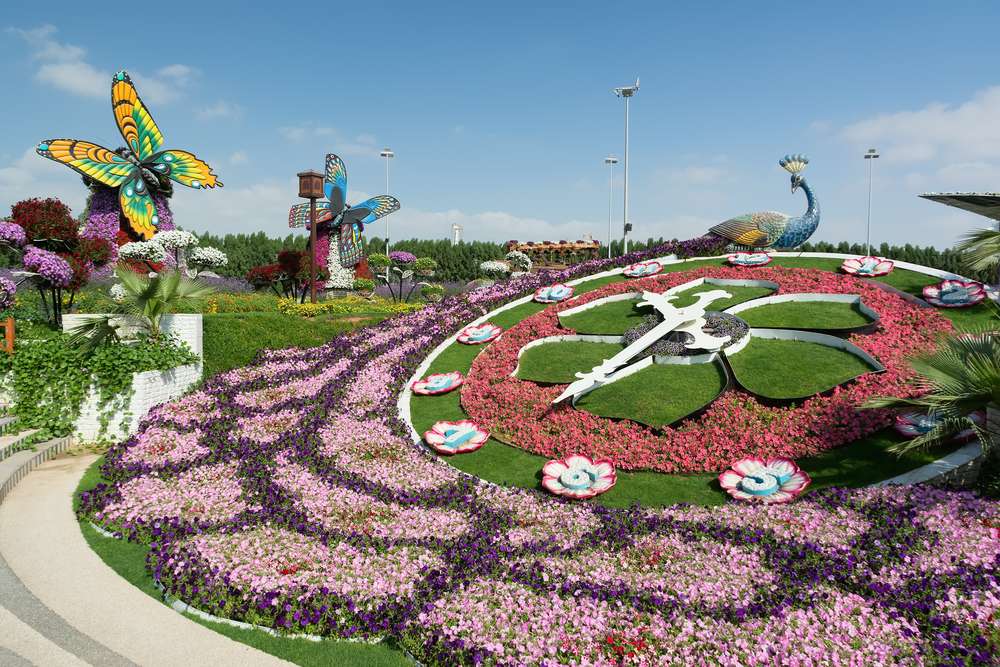 Butterfly Garden Dubai Tickets Image