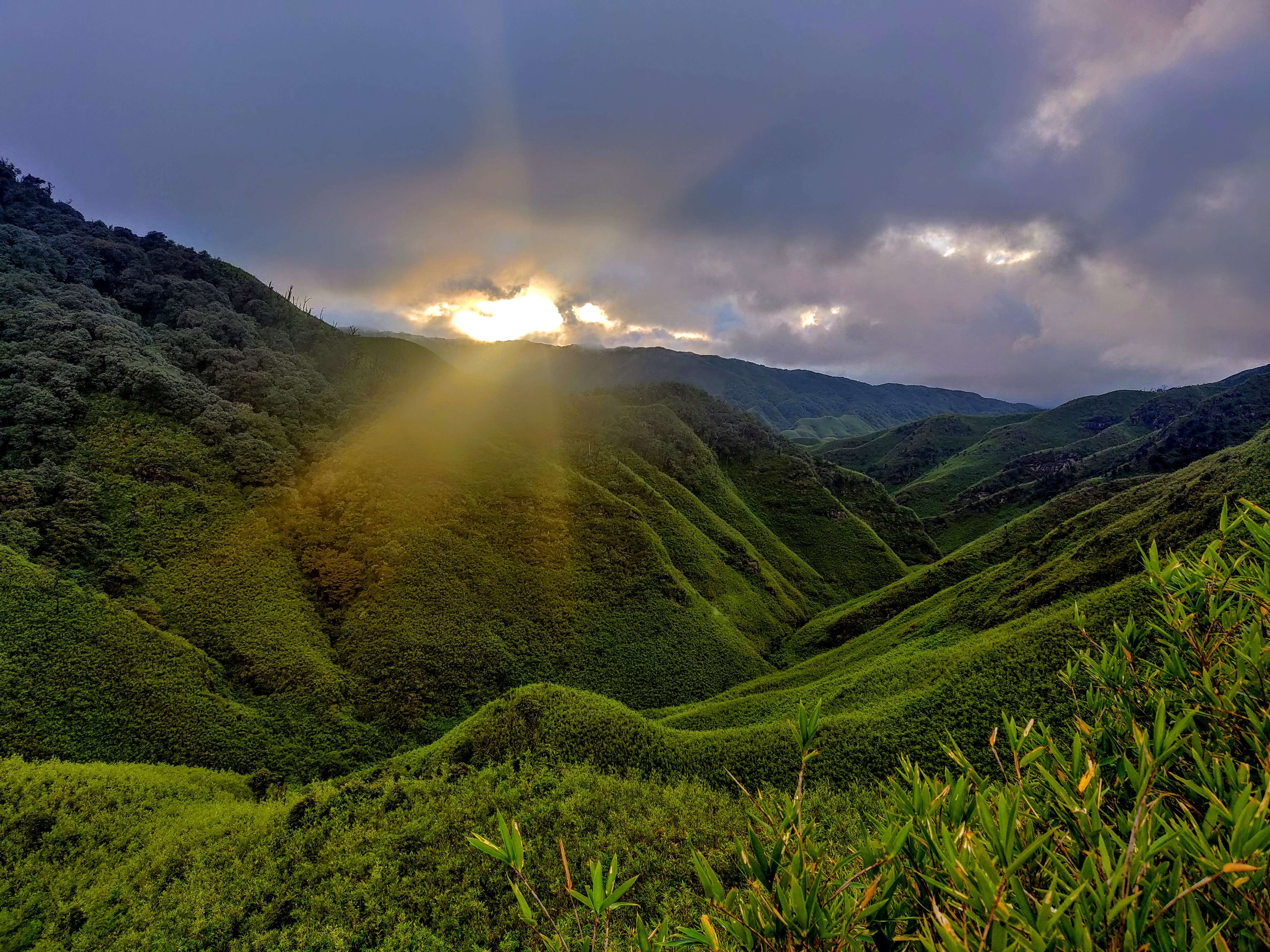 Dzukou Valley Trek, Nagaland