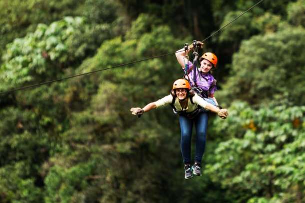 Ytrlzbclr6pricih0hqnz6jjmhqz flying fox in uttarakhand price