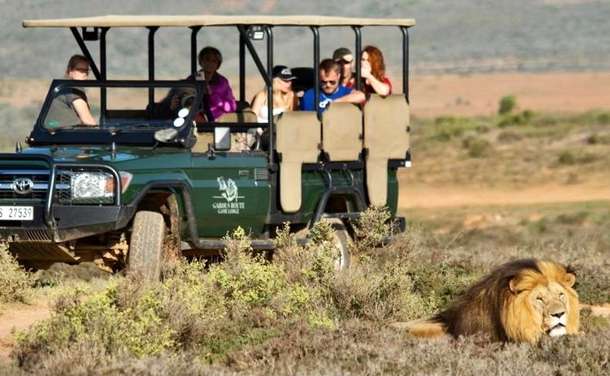 Yuw83hcls0i6ah9xzhe8c2a5hasf 336183648