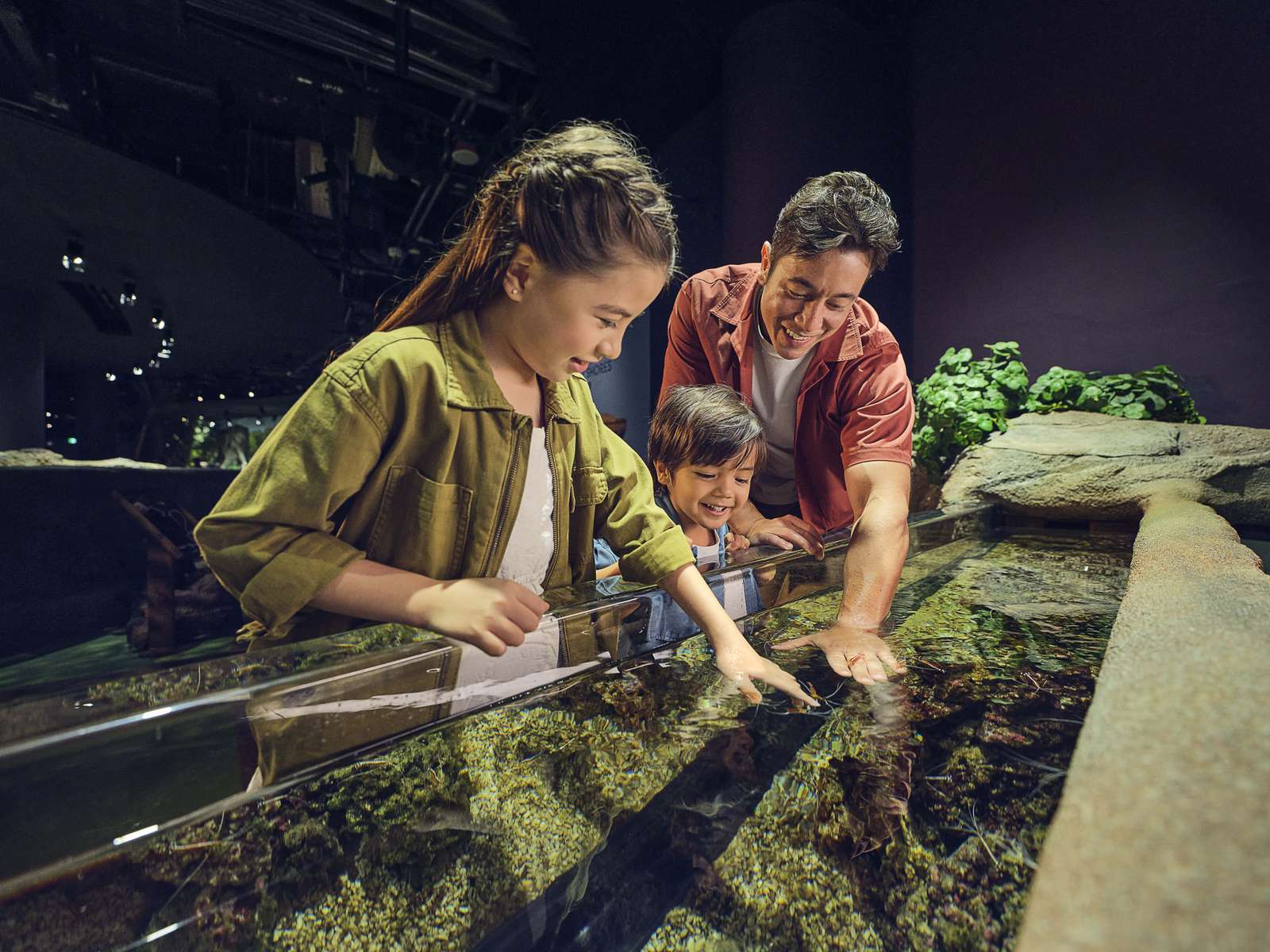 Singapore Oceanarium Tickets Image