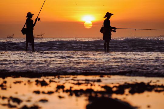 Sunset and Dinner Tour Image