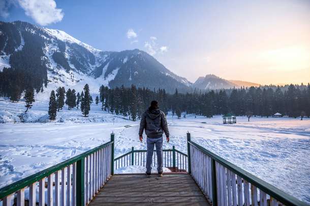 Ywm55mhn7fz8v1ewdxocm5k46wwf shutterstock 2044050404