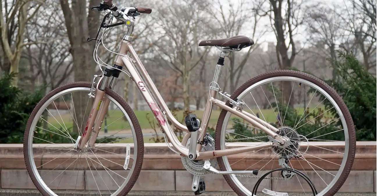 Los Angeles Bike Rental Book Now