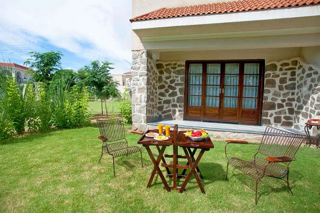 Tree of Life Ranthambore Image