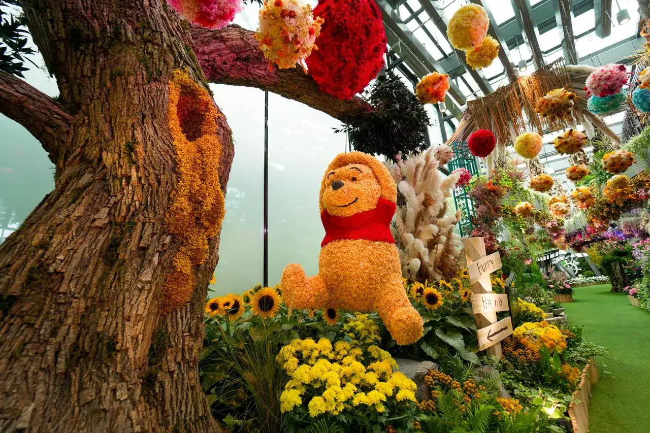 Cloud Forest Tickets Image