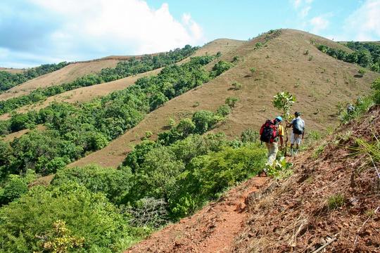 Nishani Motte Trek Image