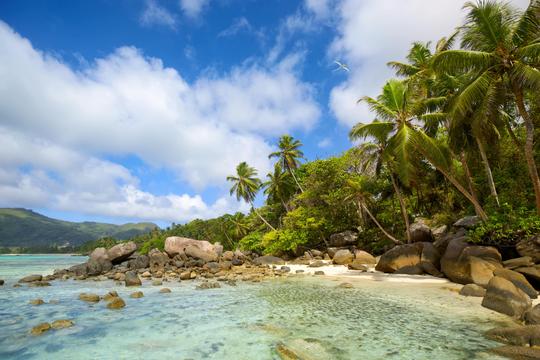 Seychelles Tour Package From Sri Lanka Image