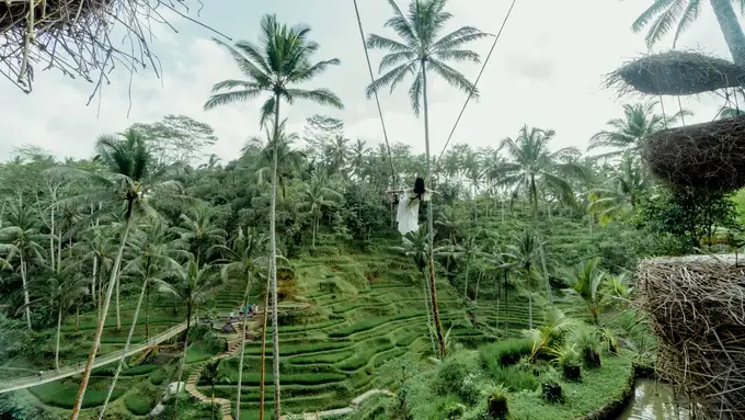 Visit the famous Alas Harum Swing in Tegalalang Ubud