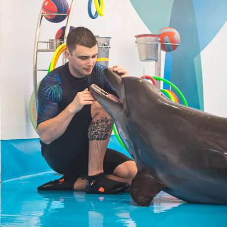 Z08h259i707npkrjv6yw97hgarja 3vsr4qhk47vxmcnybbb4nmspkj1h pattaya%20(3)