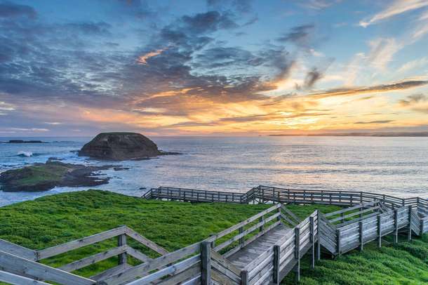 Phillip Island Penguin Parade Tickets