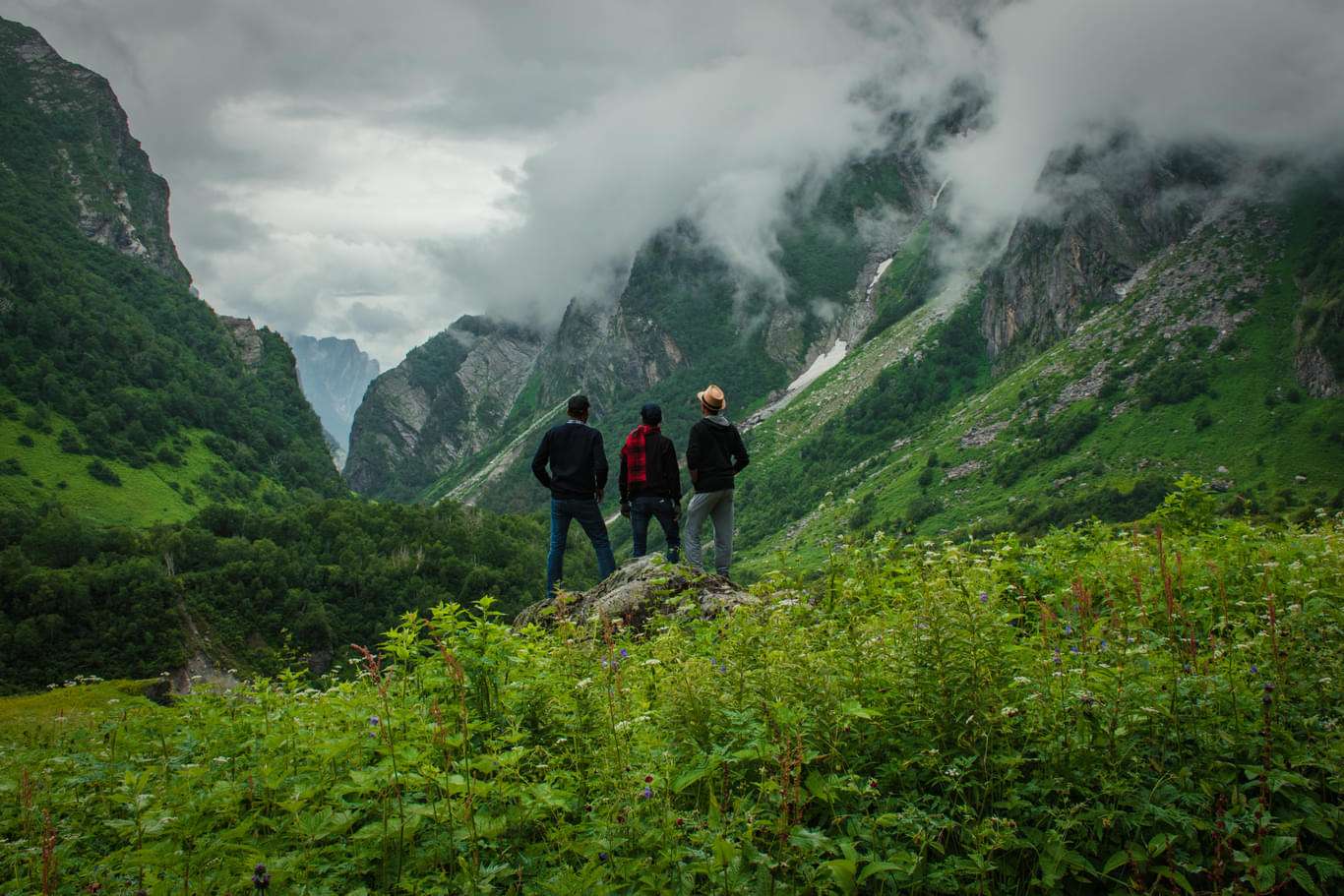 Valley of Flowers Trek Image