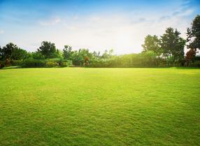 Z2hrs8b4re7c43ifyjwkyhzn0t27 1581934694 shutterstock 1038896962