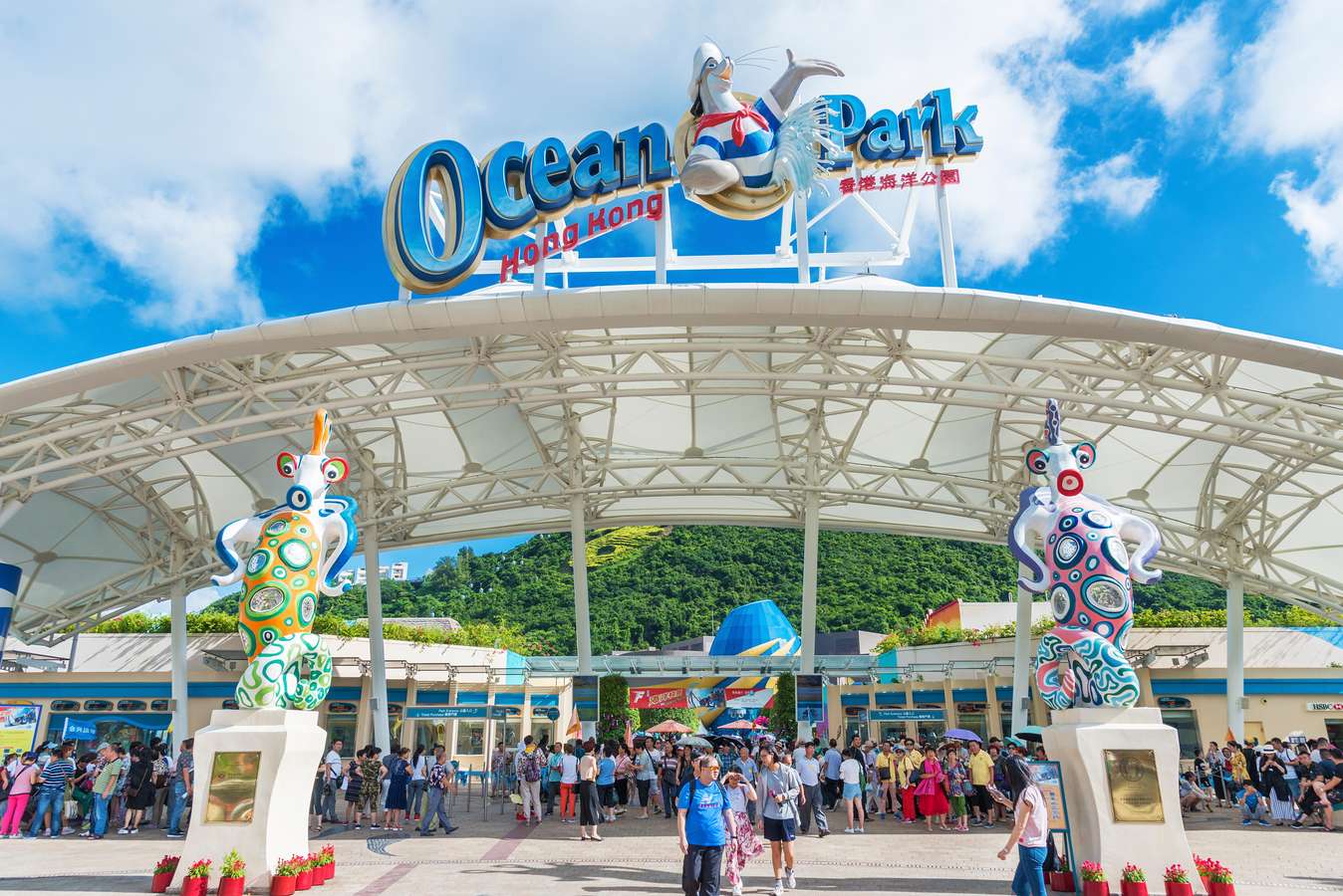 Visit the Ocean Park, a famous theme park in Hong Kong
